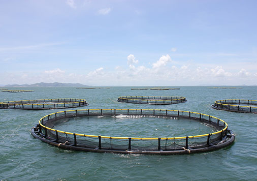 水產(chǎn)養(yǎng)殖管理系統(tǒng)的應用